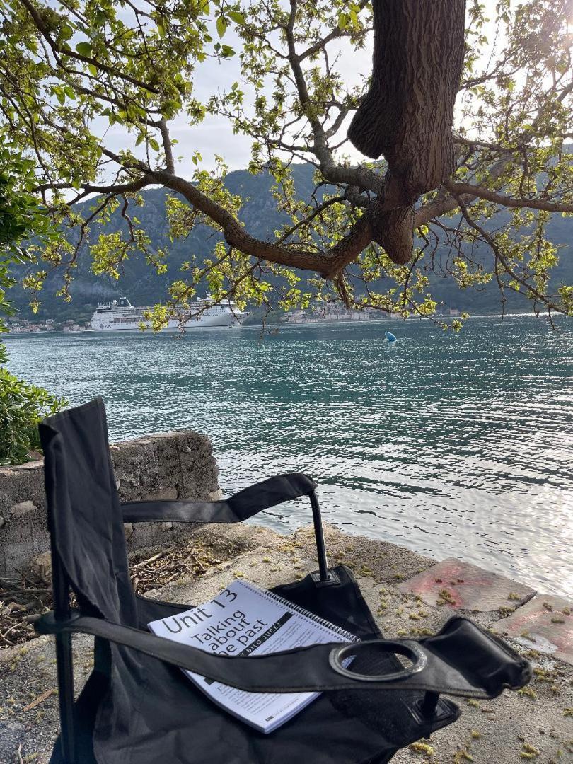 Modern Seaside Apartment With Balcony Tale Apartment Kotor Zewnętrze zdjęcie