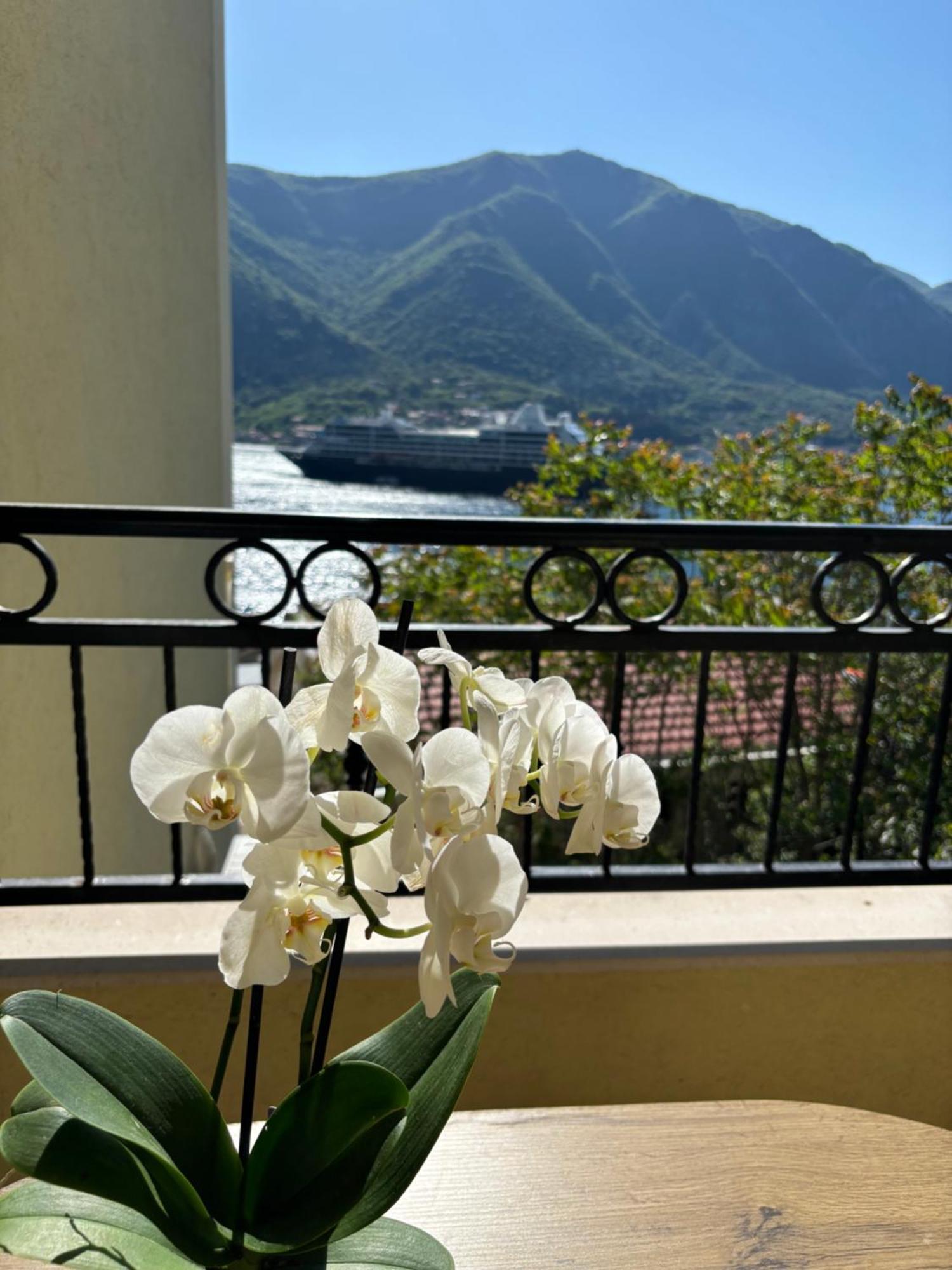 Modern Seaside Apartment With Balcony Tale Apartment Kotor Zewnętrze zdjęcie